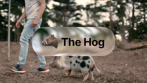The Hog