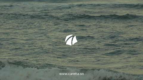 Caretta